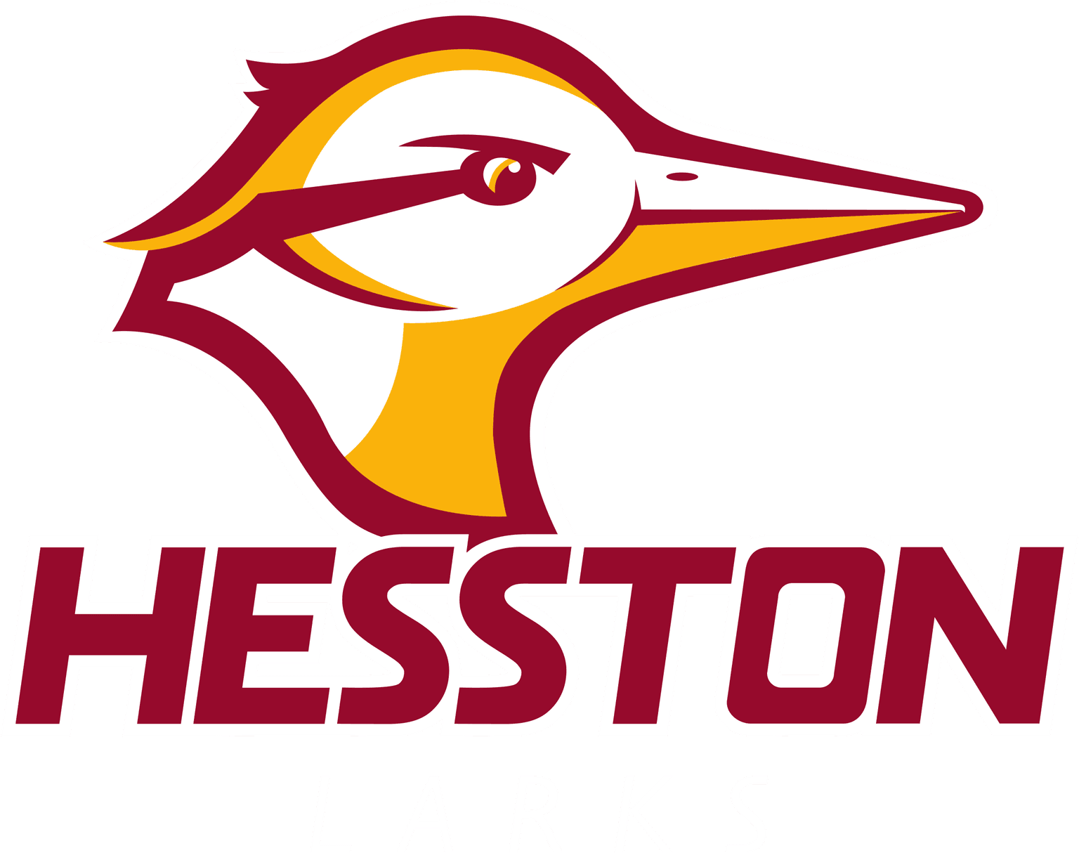Hesston College